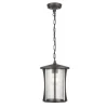 Best Deal Patriot Lighting® Leonard Ii Bronze Led Outdoor Pendant