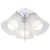 Best Deal Patriot Lighting® Cluster 3-Light White Led Ceiling Fan Light