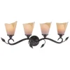 Best Deal Patriot Lighting® Capri Black Walnut 4 Light Vanity Light