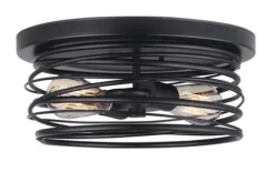 Best Pirce Patriot Lighting® Ryland Matte Black 2-Light Flush Mount Ceiling Light