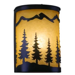 Best Pirce Patriot Lighting® Yosemite Brushed Bronze Wall Light