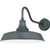 Best Reviews Of Patriot Lighting® Dorado Hunter Green Outdoor Wall Light