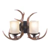 Best Sale Patriot Lighting® Yoho Black Walnut 2 Light Antler Vanity Light