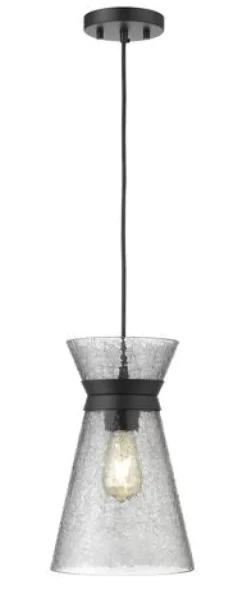 Brand New Patriot Lighting® Abelia Black 1-Light Pendant