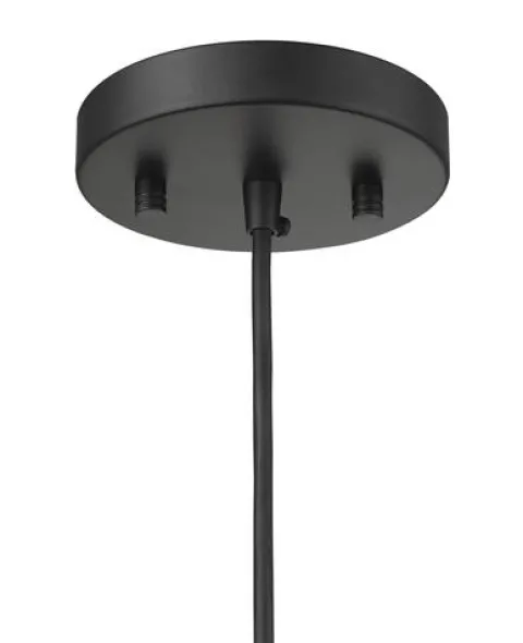 Brand New Patriot Lighting® Abelia Black 1-Light Pendant