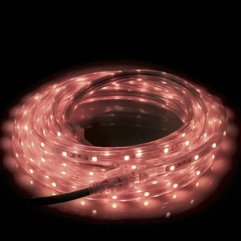 Budget Patriot Lighting® 16′ Plug-In Led Color-Changing Rope Light