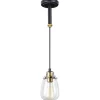 Budget Patriot Lighting® Kassidy Black Mini Pendant