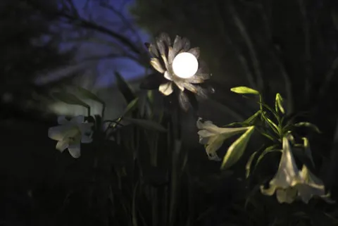 Budget Patriot Lighting® Solar Integrated Led Galvanized Flower Landscape Light
