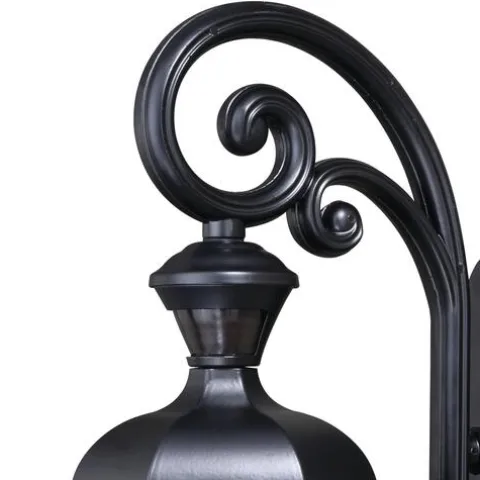Buy Patriot Lighting® Dualux® Aberdeen Shiny Black Outdoor Wall Light