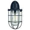 Buy Patriot Lighting® Hillcrest Black Outdoor Wall Light