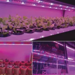 Cheap Patriot Lighting® 12′ Led Grow Tape Light