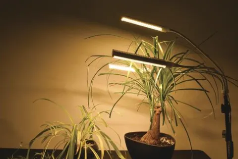 Cheap Patriot Lighting® Tripod 3 Light Led Grow Light