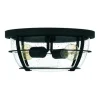 Cheapest Patriot Lighting® Haley Matte Black 2-Light Flush Mount Ceiling Light
