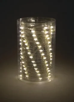 Coupon Patriot Lighting® 33′ 100 Light Warm White Led Fairy String Light