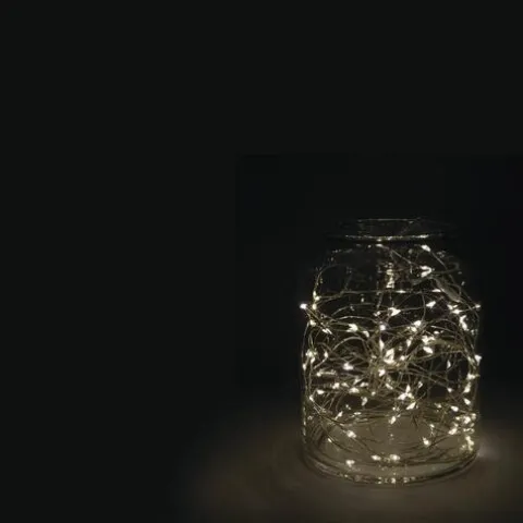 Coupon Patriot Lighting® 33′ 100 Light Warm White Led Fairy String Light