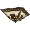 Coupon Patriot Lighting® Bozeman Burnished Bronze Flush Mount Ceiling Light