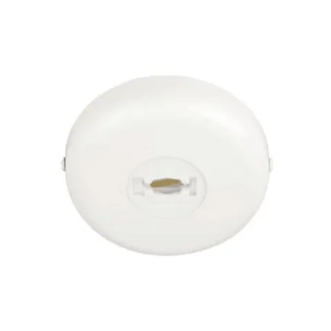 Coupon Patriot Lighting® White Monopoint Power Feeder