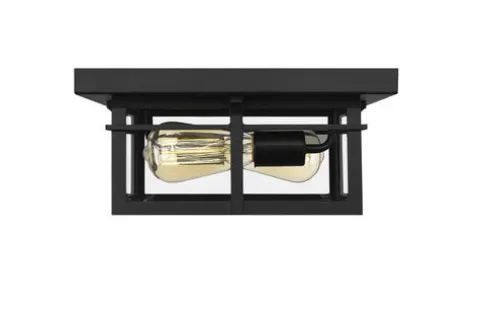Coupon Patriot Lighting® Ward Matte Black Flush Mount Outdoor Ceiling Light