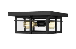Coupon Patriot Lighting® Ward Matte Black Flush Mount Outdoor Ceiling Light