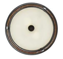 Deals Patriot Lighting® Lorenzo Bronze 2-Light Flush Mount Ceiling Light