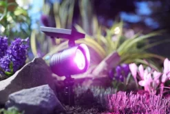 Deals Patriot Lighting® Solar Integrated Led Color Changing Spot Landscape Light