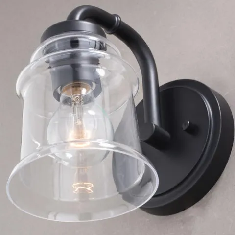 Deals Patriot Lighting® Toledo Matte Black 1 Light Vanity Light