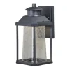 Discount Patriot Lighting® Eliza Textured Black Led Outdoor Wall Light