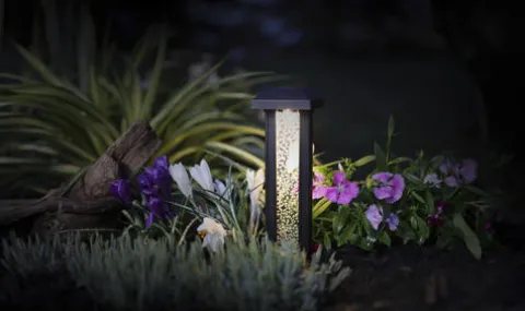 Discount Patriot Lighting® Solar Integrated Led Abby Landscape Light