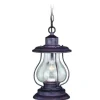Discount Patriot Lighting® Portage Weathered Pantina 8″ Outdoor Pendant Light