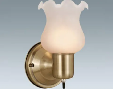 Flash Sale Patriot Lighting® Burley 1-Light Antique Brass Indoor Wall Light