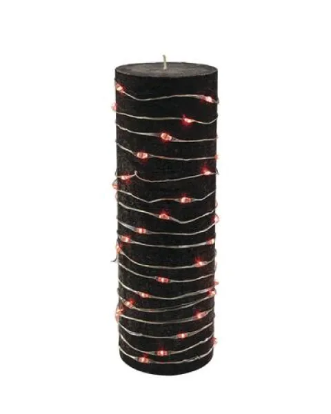 Flash Sale Patriot Lighting® 24′ 75-Light Color Changing Led Fairy Light