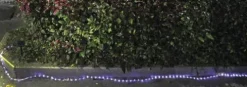 Flash Sale Patriot Lighting® Solar Integrated Led Rope Light