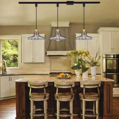 Flash Sale Patriot Lighting® Robert Black 1-Light Track Lighting Pendant