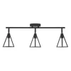 Flash Sale Patriot Lighting® Tribeck Matte Black 3-Light Fixed Track Light