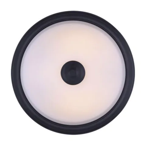 Hot Sale Patriot Lighting® Dee Rubbed Antique Bronze 2-Light Flush Mount Ceiling Light