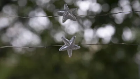 Hot Sale Patriot Lighting® 7′ 2-3/8″ 20-Light Battery-Powered Starfish Led String Light