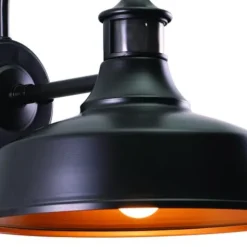 New Patriot Lighting® Dualux® Dorado Dark Bronze Outdoor Wall Light