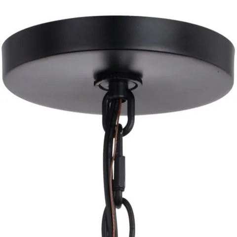 New Patriot Lighting® Grant Black 1 Light Mini Pendant