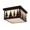 Promo Patriot Lighting® Forest Burnished Bronze Outdoor Ceiling Light
