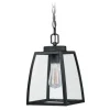 Promo Patriot Lighting® Granville Oil-Burnished Bronze Outdoor Pendant Light