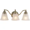 Promo Patriot Lighting® Standford Antique Brass 3 Light Vanity Light