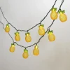 Top 10 Patriot Lighting® 11′ 10 Light Pineapple String Light