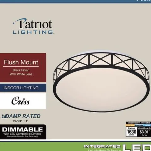Top 10 Patriot Lighting® Criss Black Integrated Led Flush Mount Ceiling Light