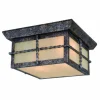 Top 10 Patriot Lighting® Dayton Iron Patina 2-Light Outdoor Flush Mount Ceiling Light