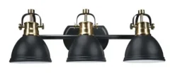 Top 10 Patriot Lighting® Ryann Matte Black 3-Light Vanity Light