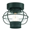Top 10 Patriot Lighting® Shoalview Bronze 1-Light Outdoor Flush Mount Ceiling Light