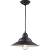 Wholesale Patriot Lighting® Denzel Oil-Rubbed Bronze 1-Light Pendant